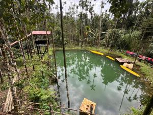 Haranamakki Homestay