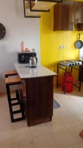 Bgm comfy lovely studio h4