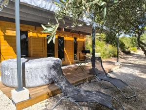 Evasion sous les pins