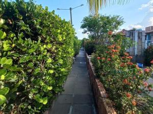 Casa 48 - Casa de Praia em Tamandaré-PE