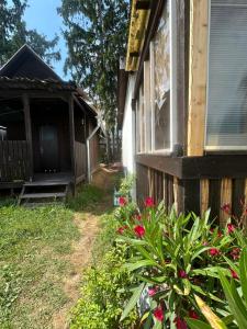 Chatka Nová Živohošť