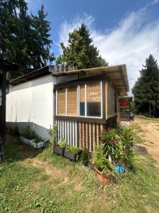 Chatka Nová Živohošť