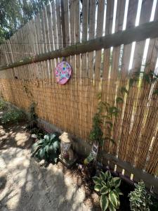 Chatka Nová Živohošť