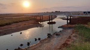 Amazing Apartment with swiming pool