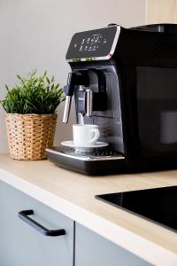 Spacious Duplex Apartment D4