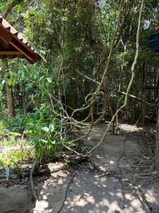 Beautiful open house in the forest