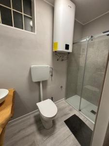 Mini cozy apartment in Prato della Valle