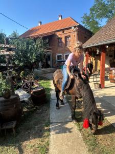 Ruralni kutak na padini Tumanskog Crnog vrha