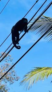 Beachy Studio Hideaway Steps to Sand & Sunset