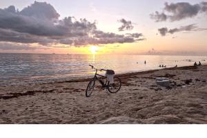 Island Glow Oceanview Home