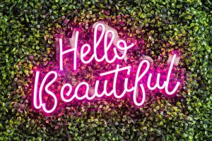 Relaxing Dolly Apartment on Music Row