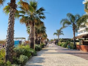 Asel apartment golem