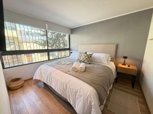 HOM l WiFi Gimnasio Cercano al metro