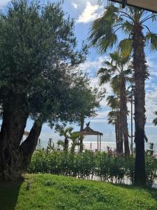 Asel apartment golem