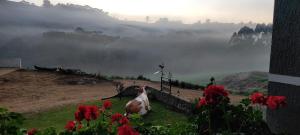 Pousada Kuh Haus - Casa da Vaca