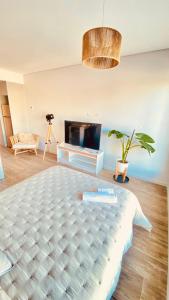 Premium Studio in Downtown