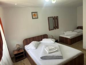 Pensiunea Bujor de Munte