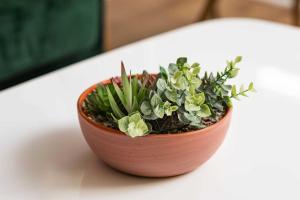 Nashville Dolly Oasis on Music Row