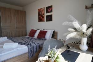 Cozy place with free parking