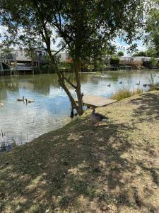 Andreas Riverside Retreat at 7 Lakes Country Park