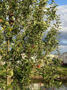 Andreas Riverside Retreat at 7 Lakes Country Park