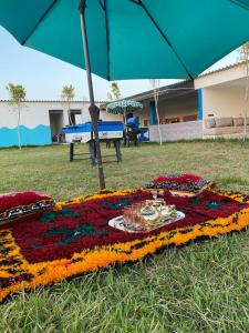 منتزه السلامة Parc ASSALAMA