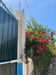 منتزه السلامة Parc ASSALAMA