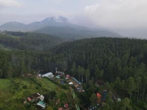 Tepian Pinus Glamping