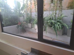 Khách Sạn The Pine Scent