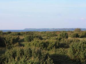 Tranquil Seaside Haven-By Traum