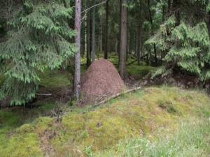 Luxury Retreat with Spa - By Traum Ferienwohnungen