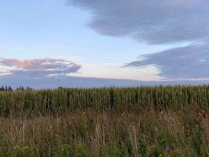 6 person holiday home in Rømø-By Traum