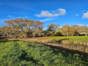4 person holiday home in Frederiksværk-By Traum