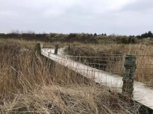 2 person holiday home in Ålbæk-By Traum