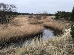2 person holiday home in Ålbæk-By Traum