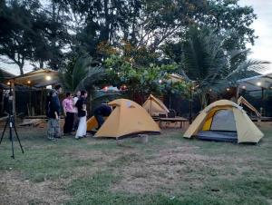 Eco Camping - Mini House