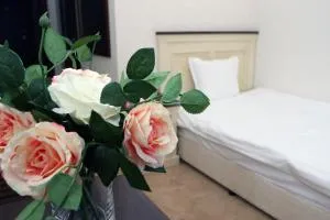 Hotel Par Avion - Tabashko