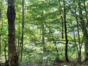 6 person holiday home in Olofström-By Traum