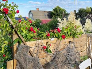 4 person holiday home in SÖLVESBORG-By Traum