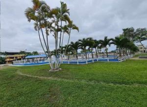 Beautiful apartment on Tonsupa Beach