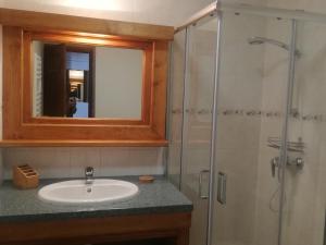 Duplex 4 pièces, 8 personnes, animaux acceptés, parking privé - FR-1-263-617