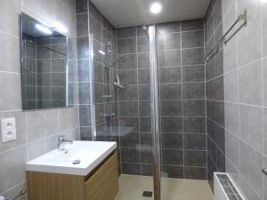Studio rénové 28m² au centre, 4 pers, proche pistes - FR-1-458-248