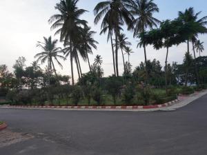 Pearl Home Luxury 3Bhk family-friendly Appartment