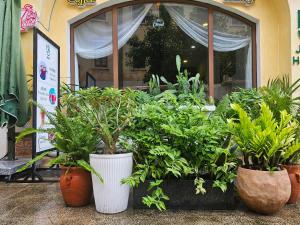 La Maison De Dino Hotels & Apartments Phú Quốc