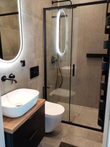 Vip Apartamenty na Borowej