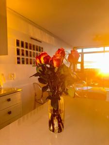 Stylish Cape Town Retreat Near V&A Waterfront