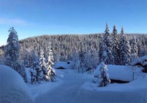 Fjällstuga i Sälen