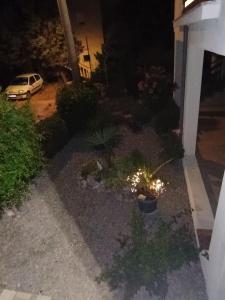 Apartments Knežević