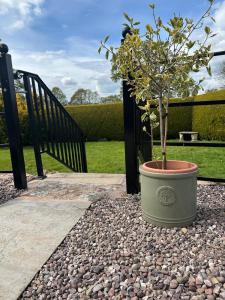 Garden cottage at The Glebe