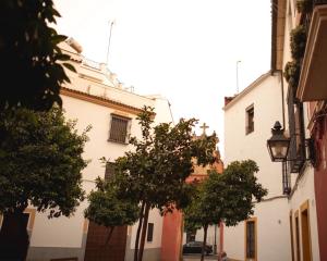 Apartamentos San Fernando 62